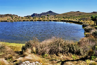 To Wagagai Peak - Mount Elgon