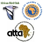 Abacus African Vacations Membership