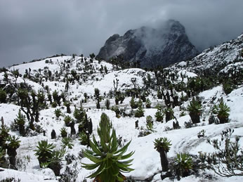 Mount Rwenzoris